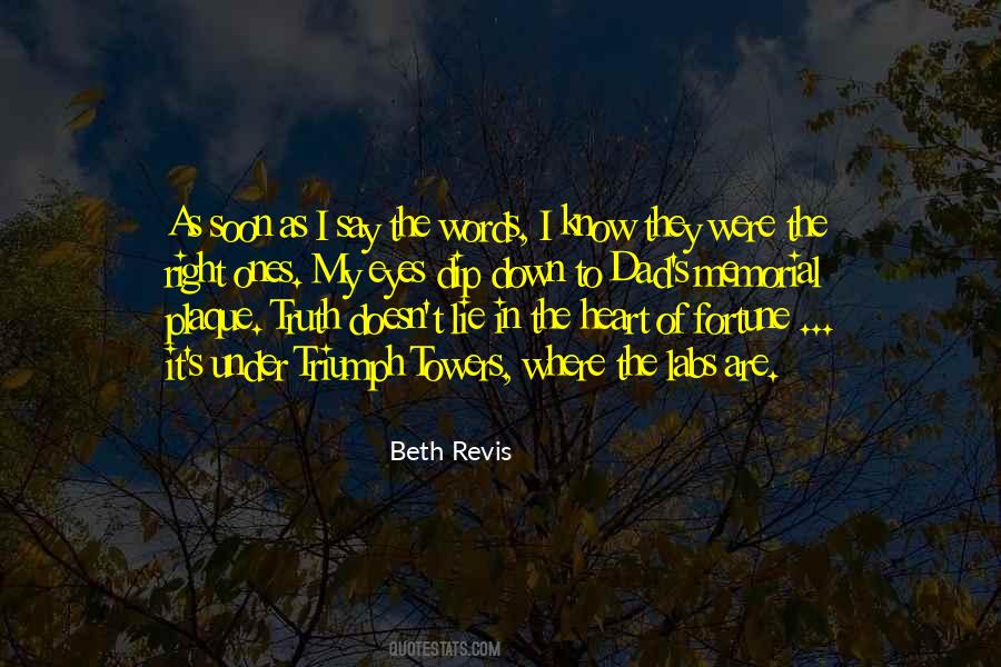 Beth Revis Quotes #1646161