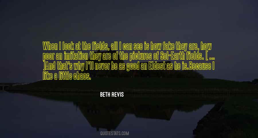 Beth Revis Quotes #5389