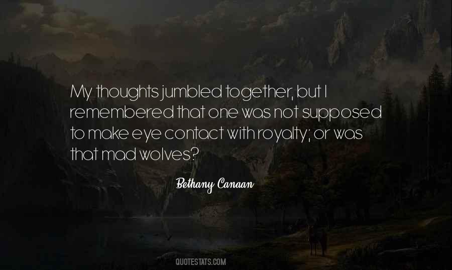 Bethany Canaan Quotes #386230