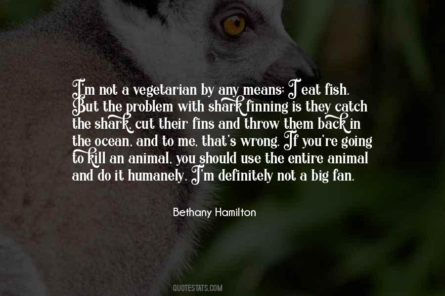 Bethany Hamilton Quotes #319340