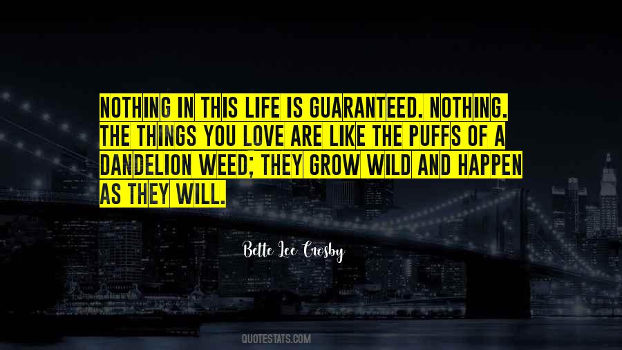 Bette Lee Crosby Quotes #1160668