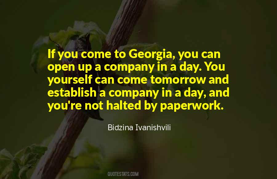 Bidzina Ivanishvili Quotes #1476007