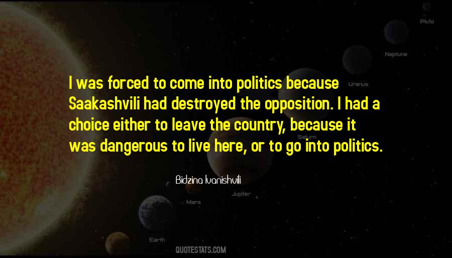 Bidzina Ivanishvili Quotes #537041