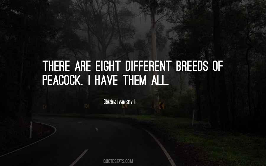 Bidzina Ivanishvili Quotes #643664