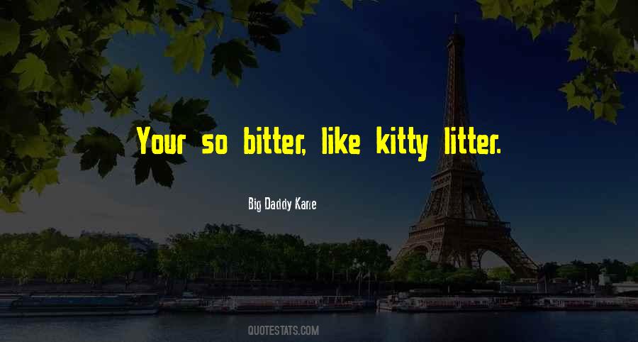 Big Daddy Kane Quotes #1825371