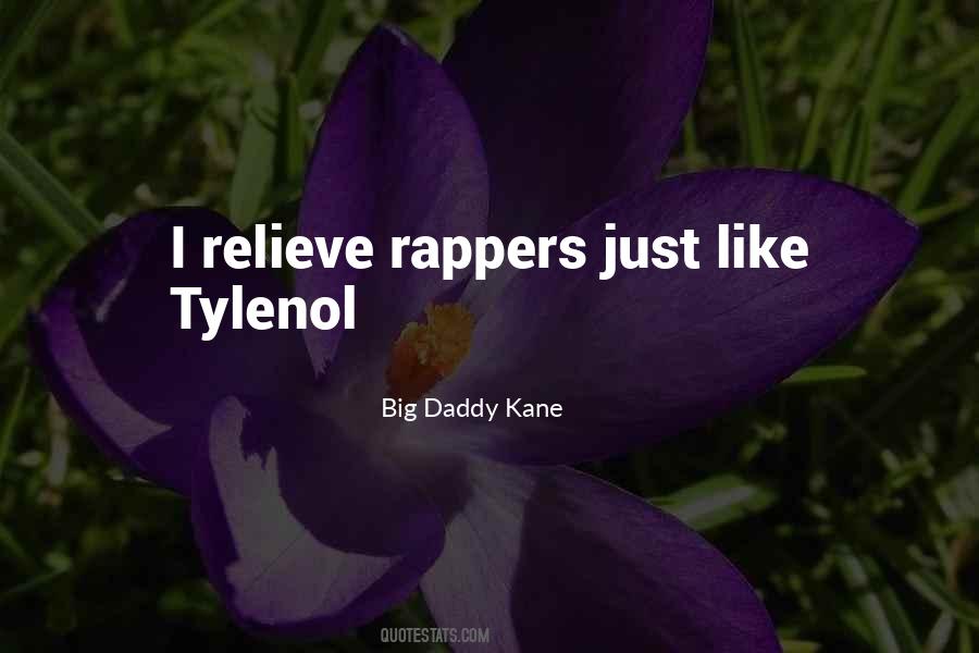 Big Daddy Kane Quotes #350764