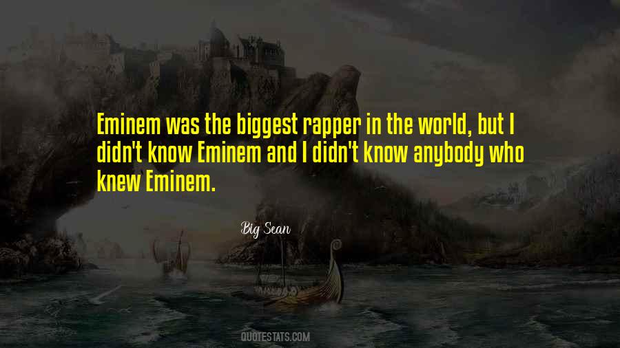 Big Sean Quotes #892711