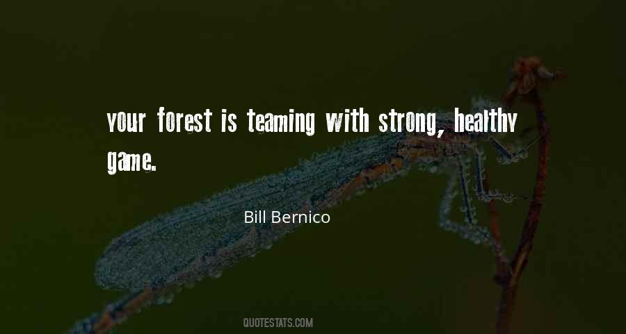 Bill Bernico Quotes #280805