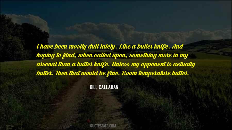 Bill Callahan Quotes #247089