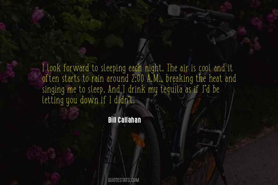 Bill Callahan Quotes #940765