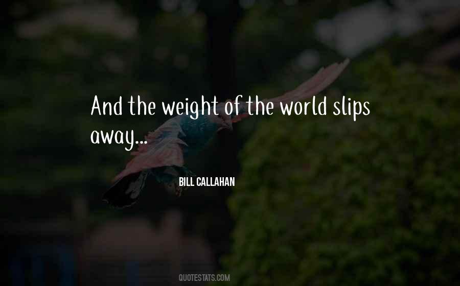 Bill Callahan Quotes #971602
