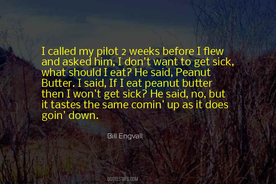 Bill Engvall Quotes #44341
