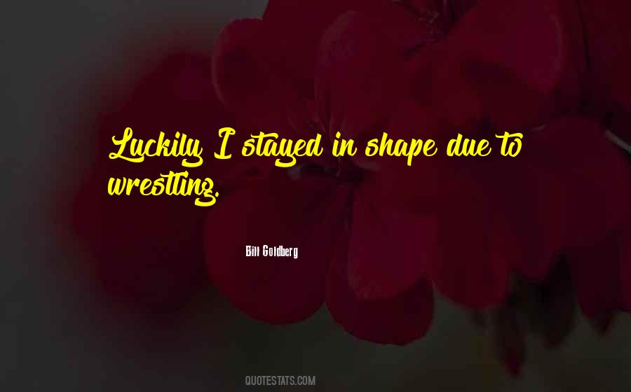 Bill Goldberg Quotes #1613589