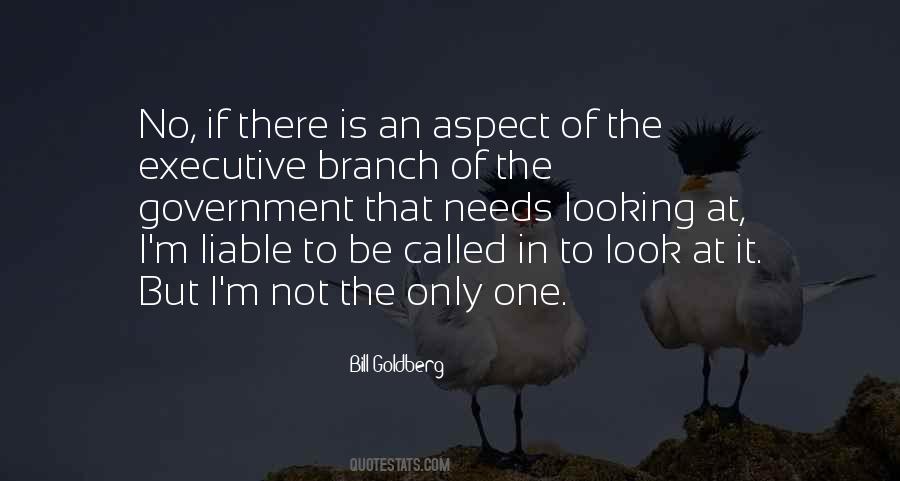 Bill Goldberg Quotes #315914