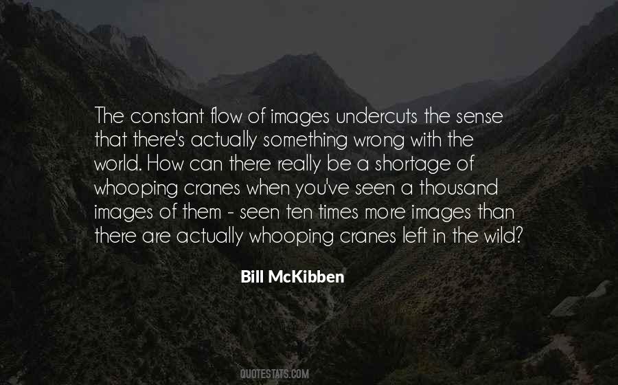 Bill McKibben Quotes #1536827