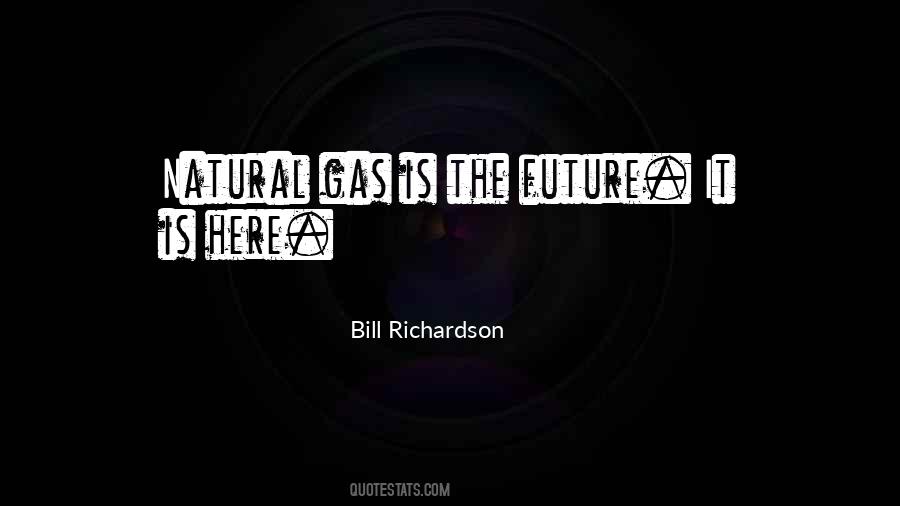 Bill Richardson Quotes #873397