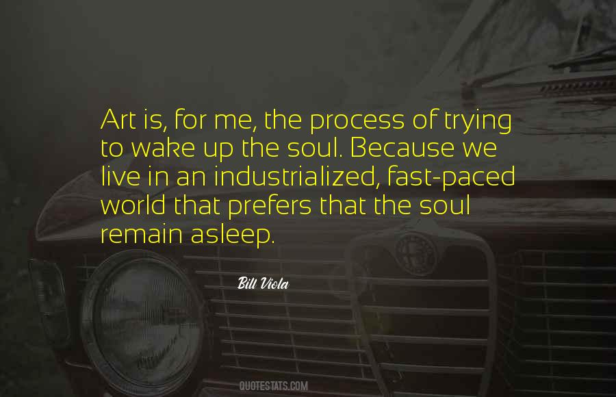 Bill Viola Quotes #701527