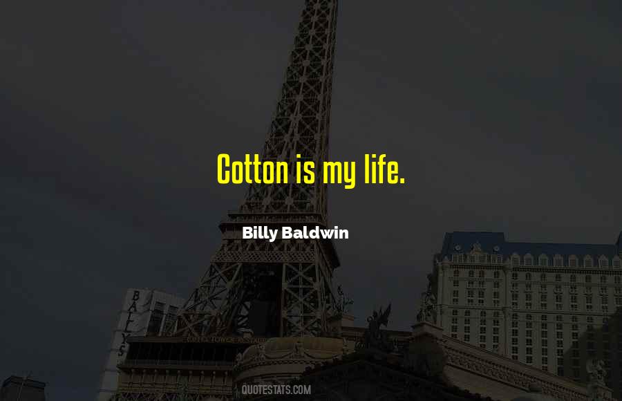 Billy Baldwin Quotes #72055