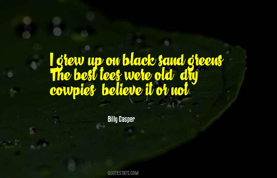 Billy Casper Quotes #1808866