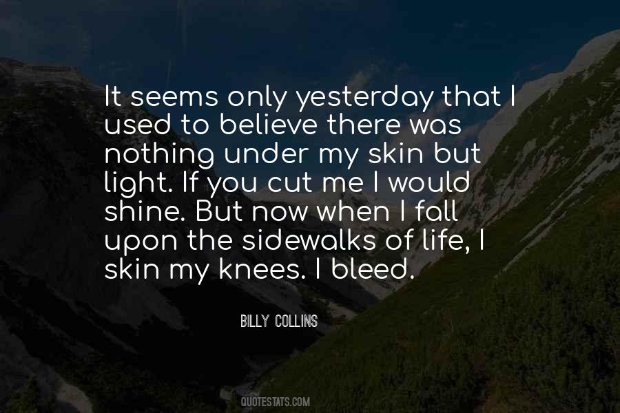 Billy Collins Quotes #1236339