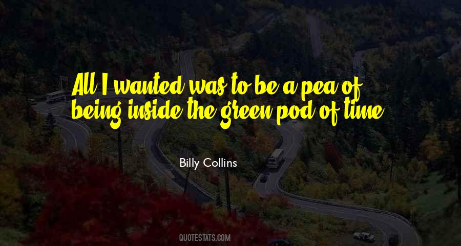 Billy Collins Quotes #75870