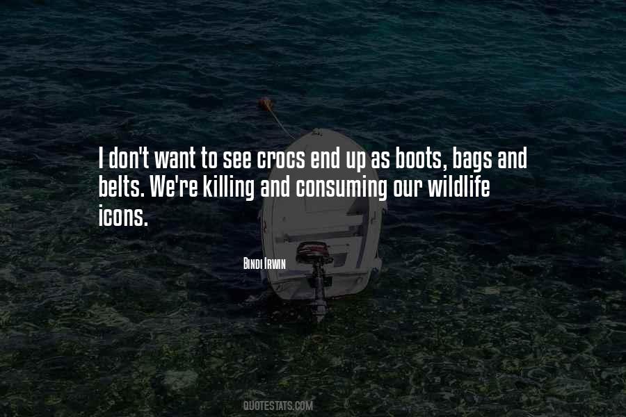 Bindi Irwin Quotes #12683
