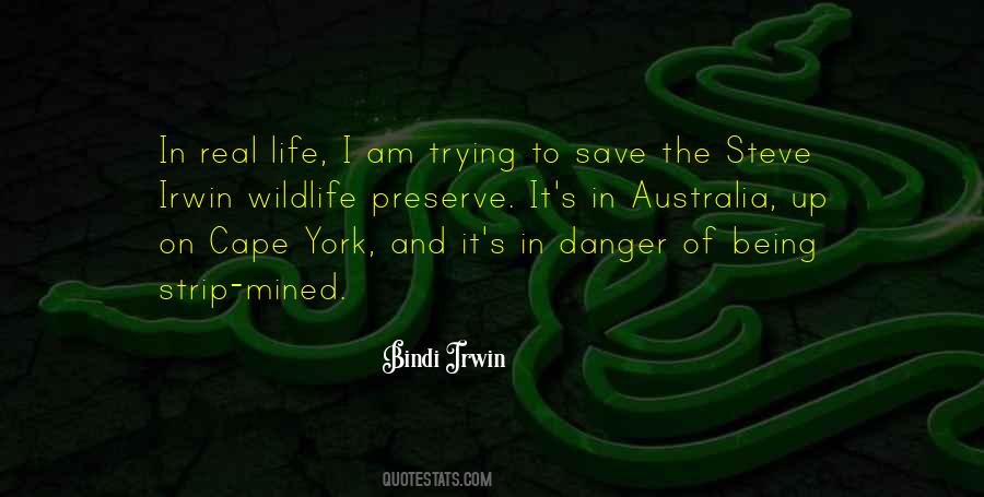 Bindi Irwin Quotes #1552548