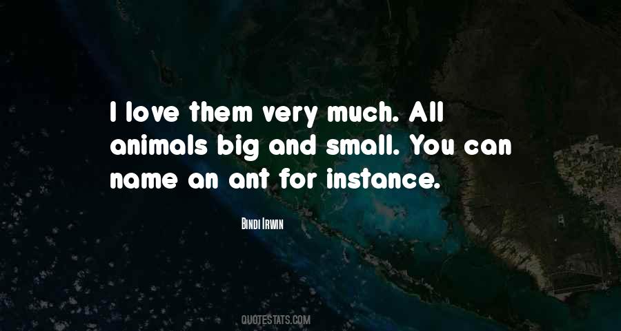 Bindi Irwin Quotes #178819
