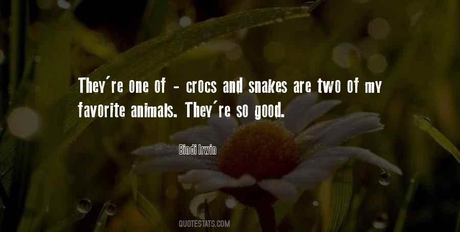 Bindi Irwin Quotes #537953