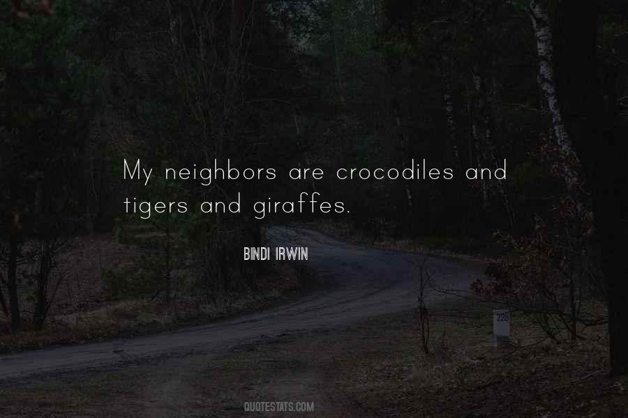 Bindi Irwin Quotes #539545