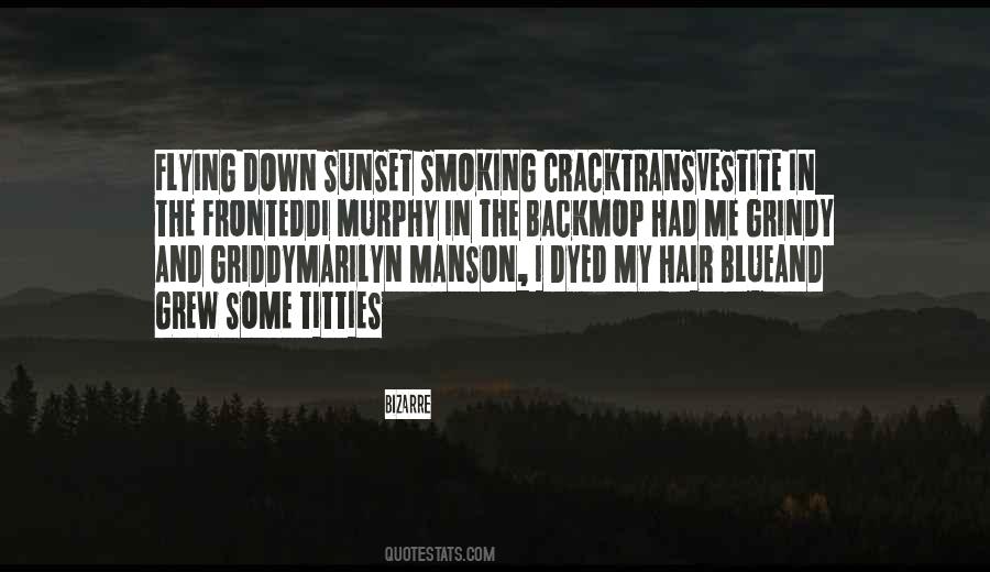 Bizarre Quotes #353899 Bizarre Quotes #353899