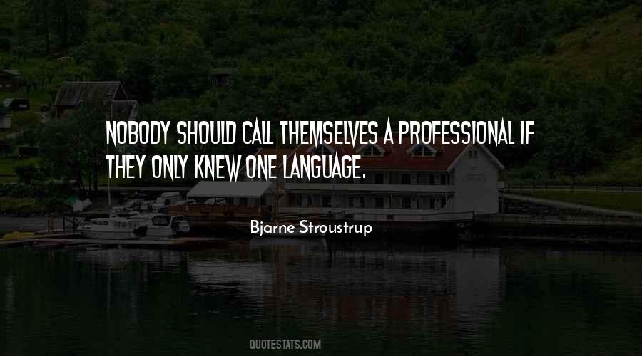 Bjarne Stroustrup Quotes #295783