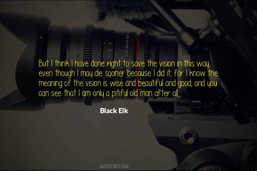 Black Elk Quotes #539635