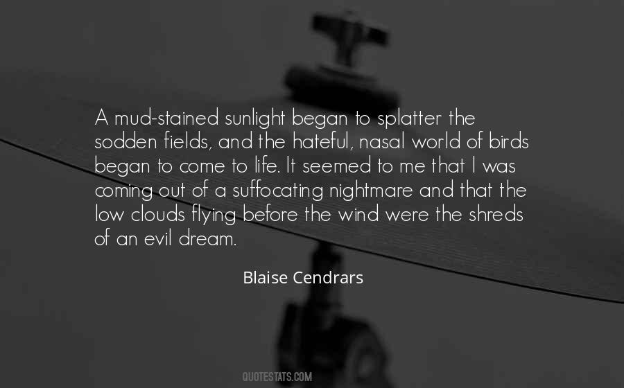 Blaise Cendrars Quotes #890129