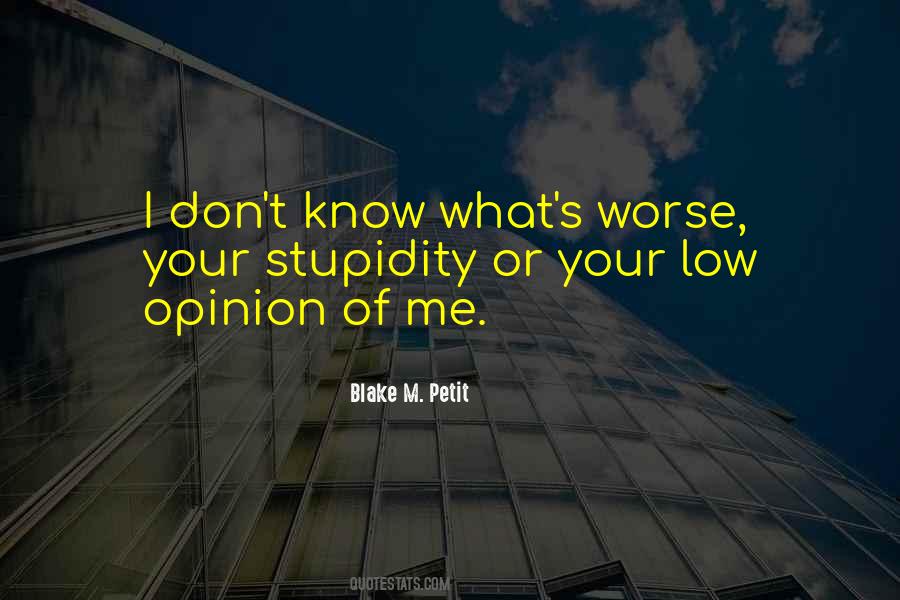 Blake M. Petit Quotes #621836