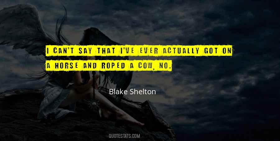 Blake Shelton Quotes #120780