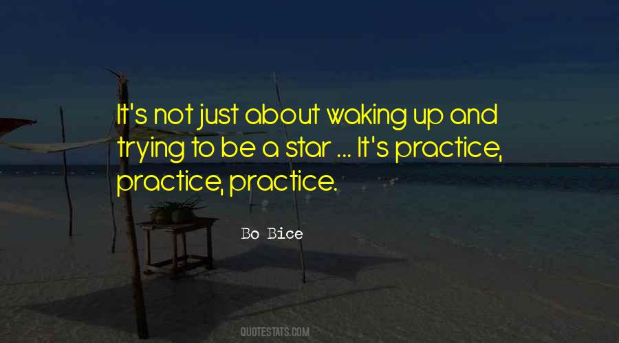 Bo Bice Quotes #166390