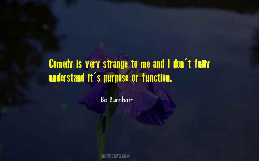 Bo Burnham Quotes #948540