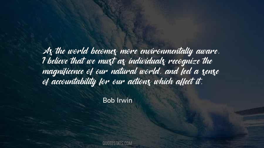 Bob Irwin Quotes #382719