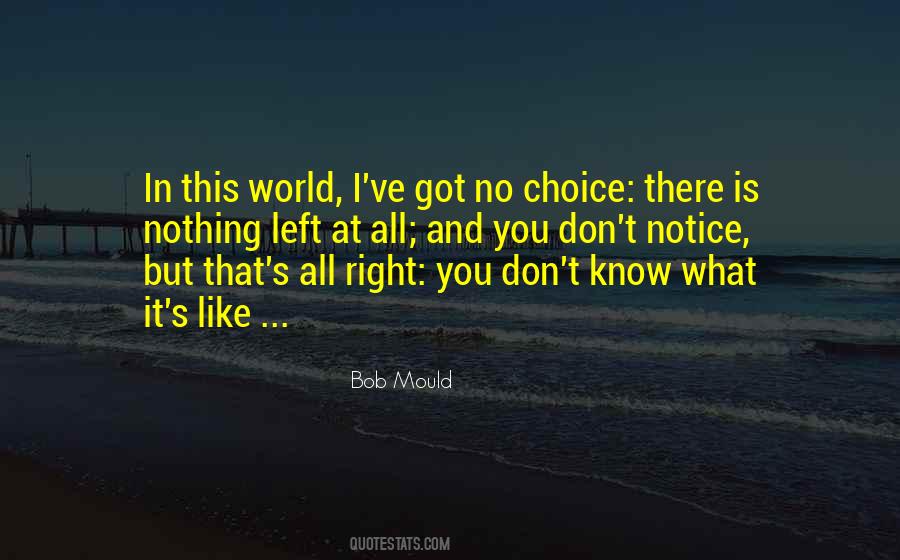 Bob Mould Quotes #1007012