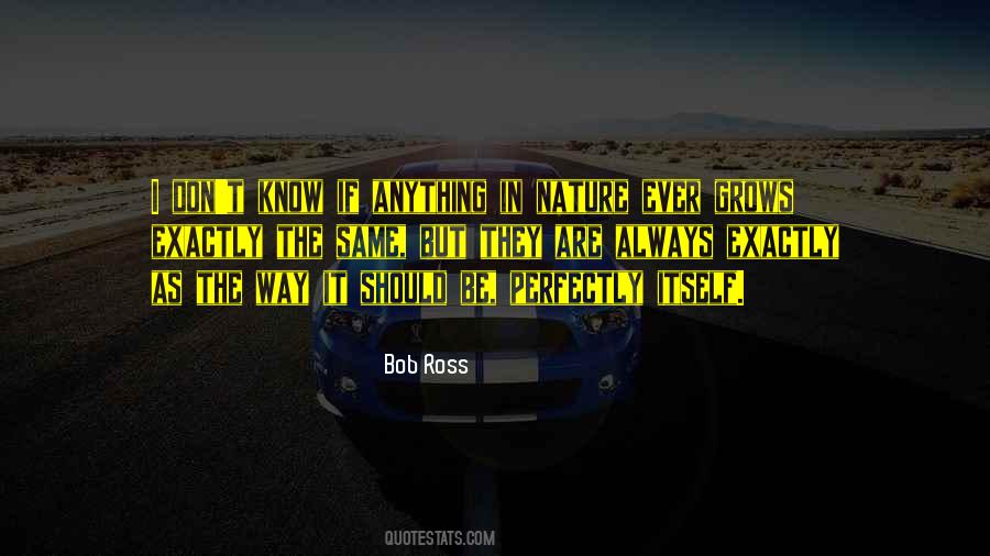 Bob Ross Quotes #174135