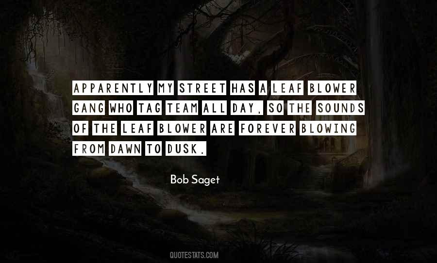 Bob Saget Quotes #1307465
