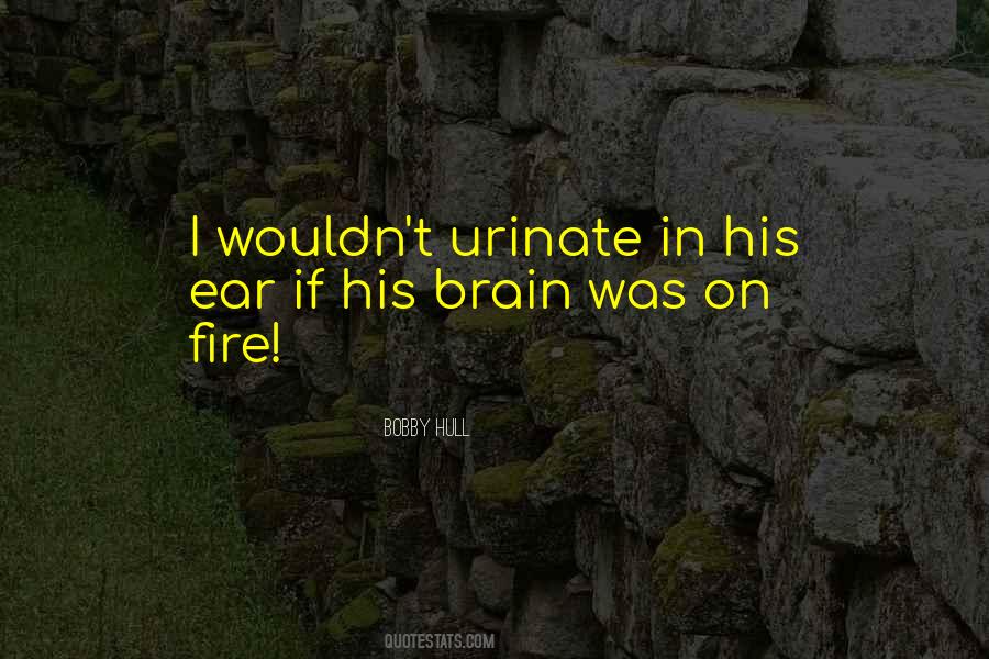 Bobby Hull Quotes #203110