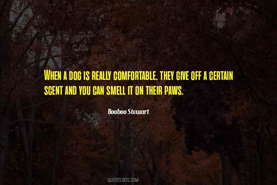 Booboo Stewart Quotes #1120884