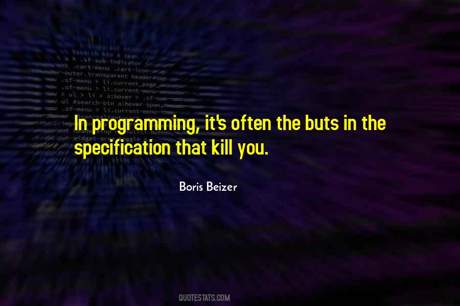 Boris Beizer Quotes #724548