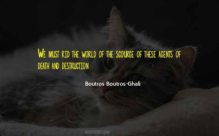 Boutros Boutros-Ghali Quotes #903981