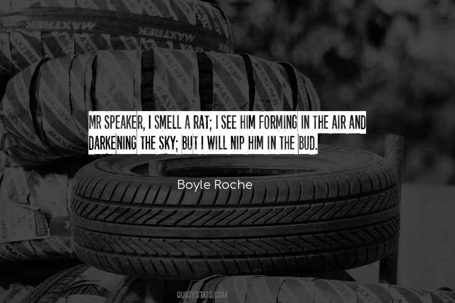 Boyle Roche Quotes #1764352