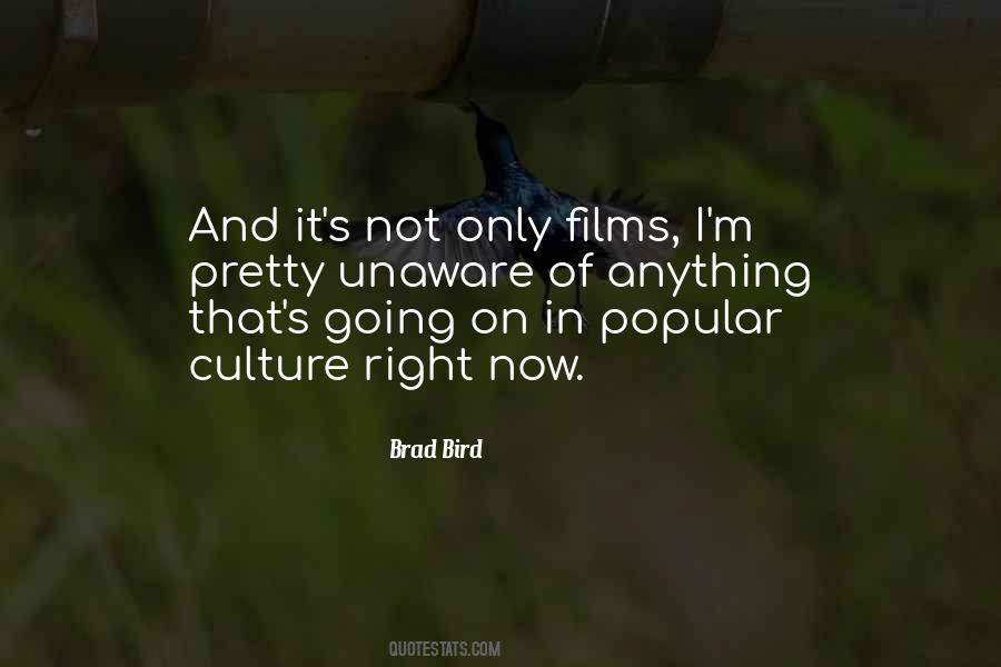 Brad Bird Quotes #725331