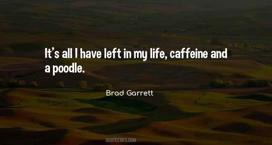 Brad Garrett Quotes #526472