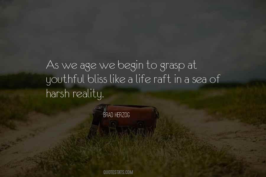 Brad Herzog Quotes #40429